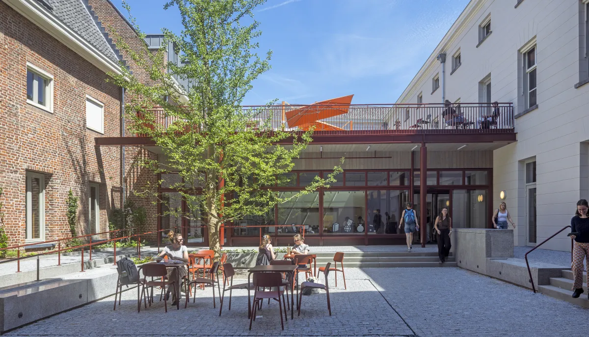 Binnenplein Huis73 met ginko Biloba op de achtergrond
