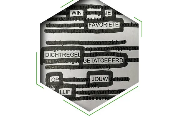 Voorbeeld van een Blackout Poetry gedicht