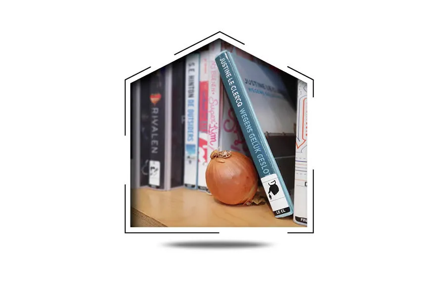 gele ui op boekenplank voor boeken