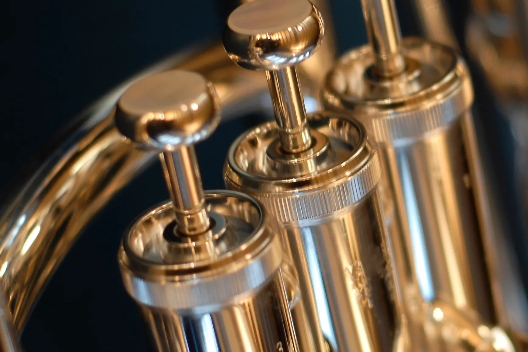 Bariton & Euphonium