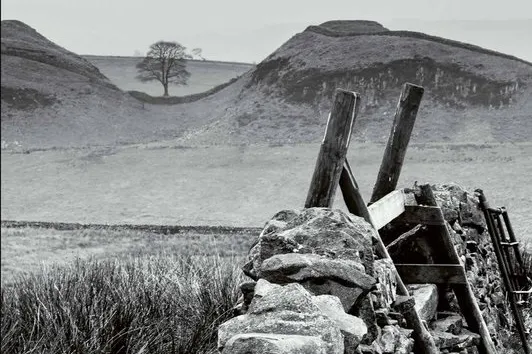 Het einde van Erna Ankersmit Anna Enquist.jpg