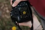 Fotografie