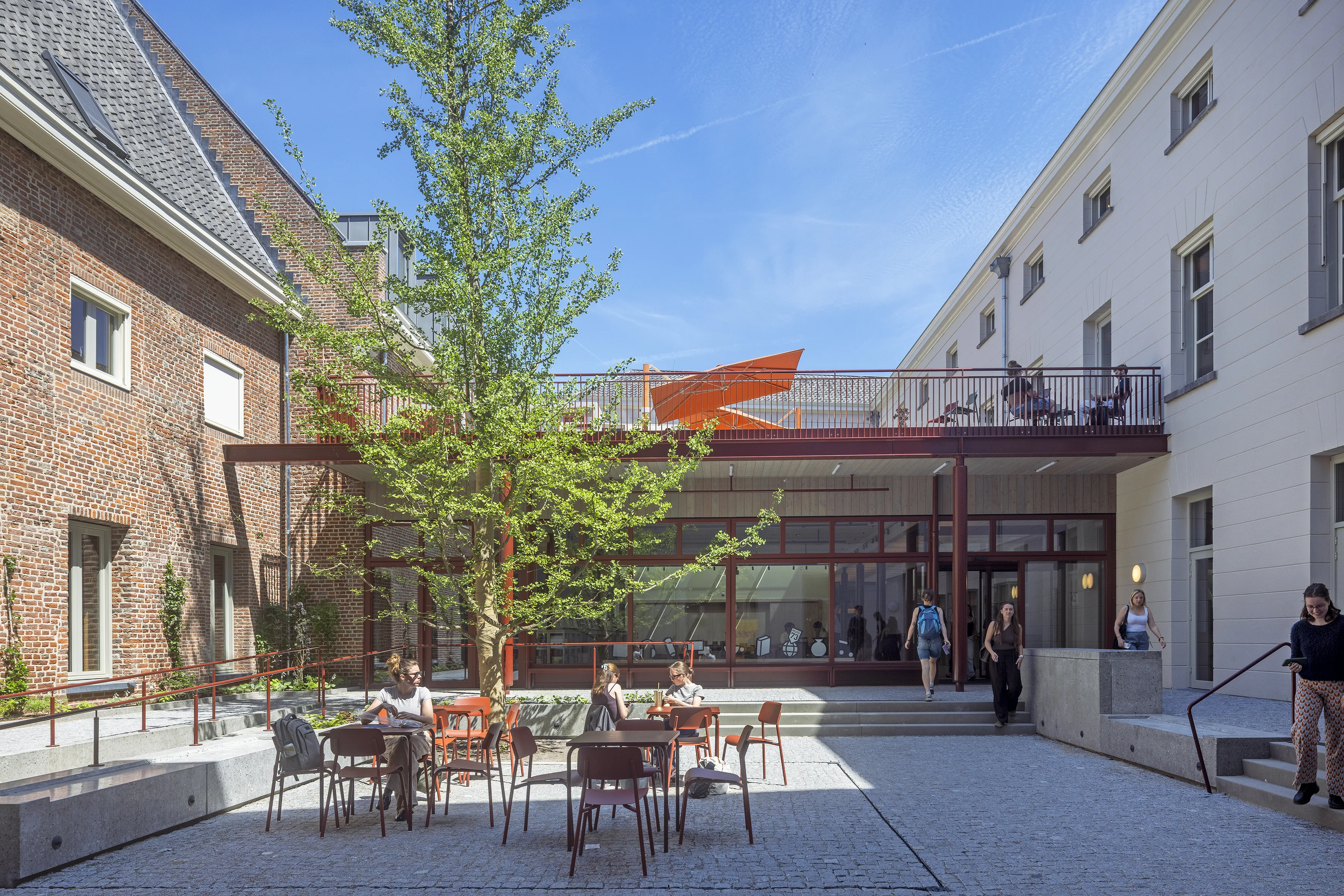 Binnenplein Huis73 met ginko Biloba op de achtergrond