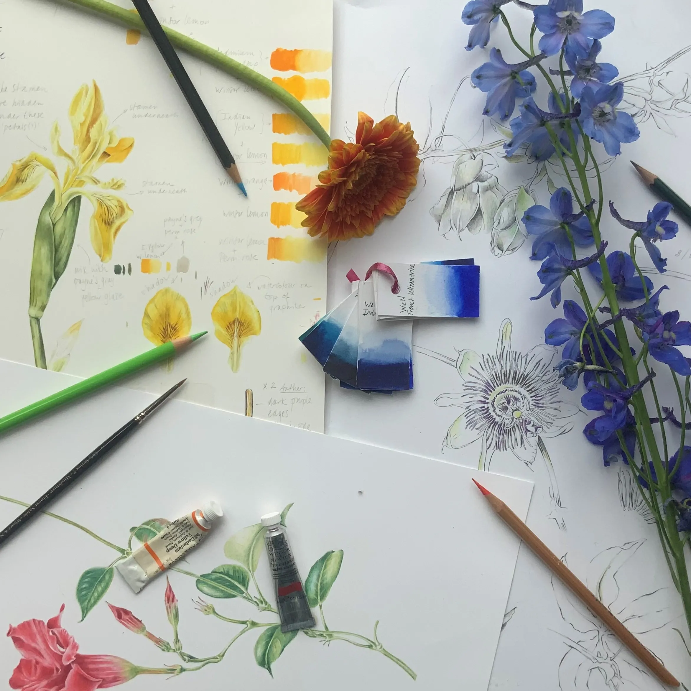 botanisch tekenen