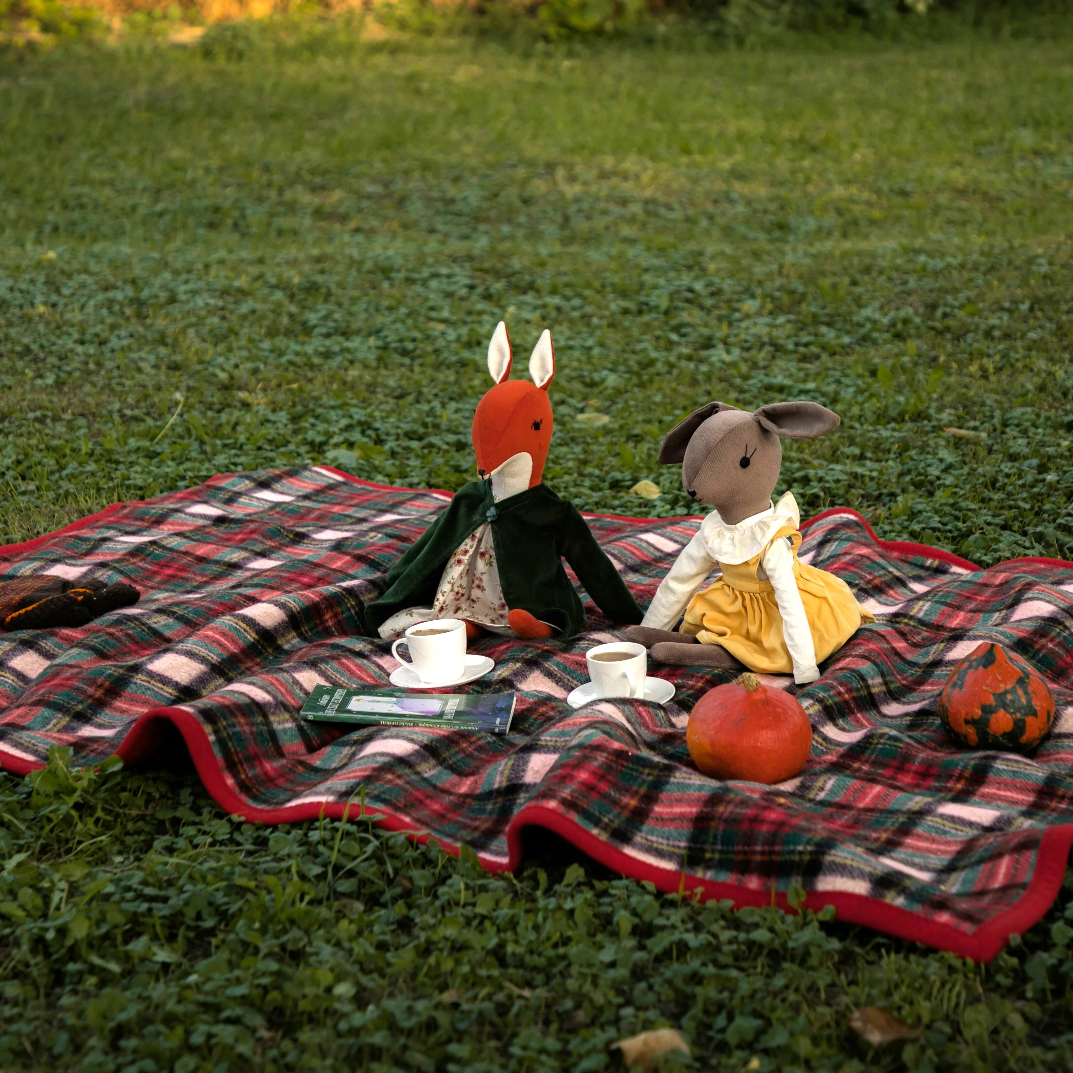 Knuffels picknicken