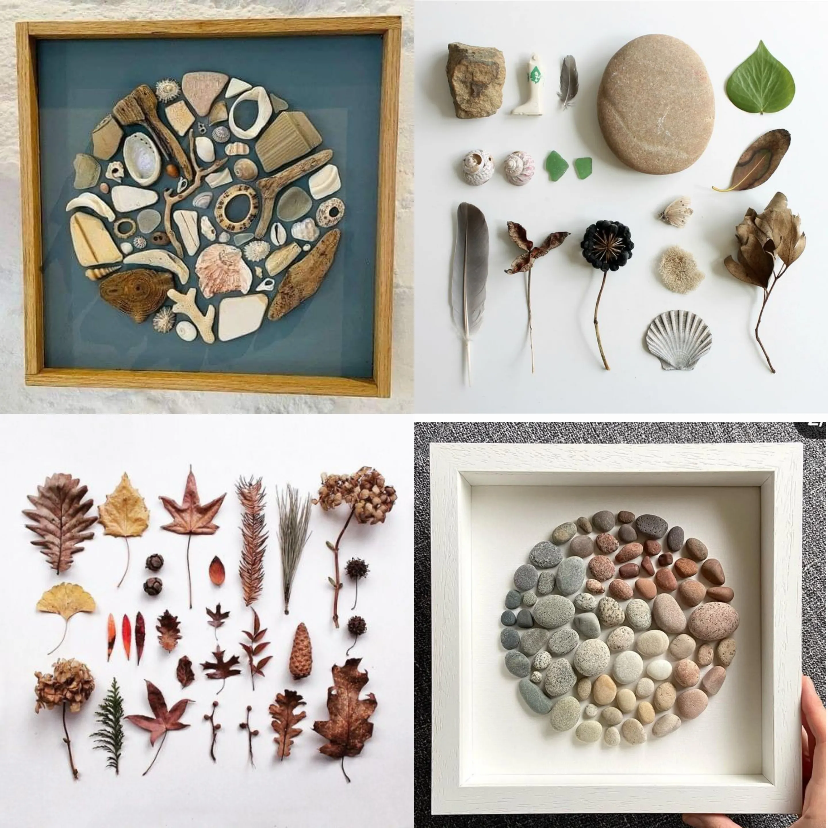 Collage van geordende natuurschatten