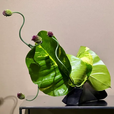 Hosen Ikebana
