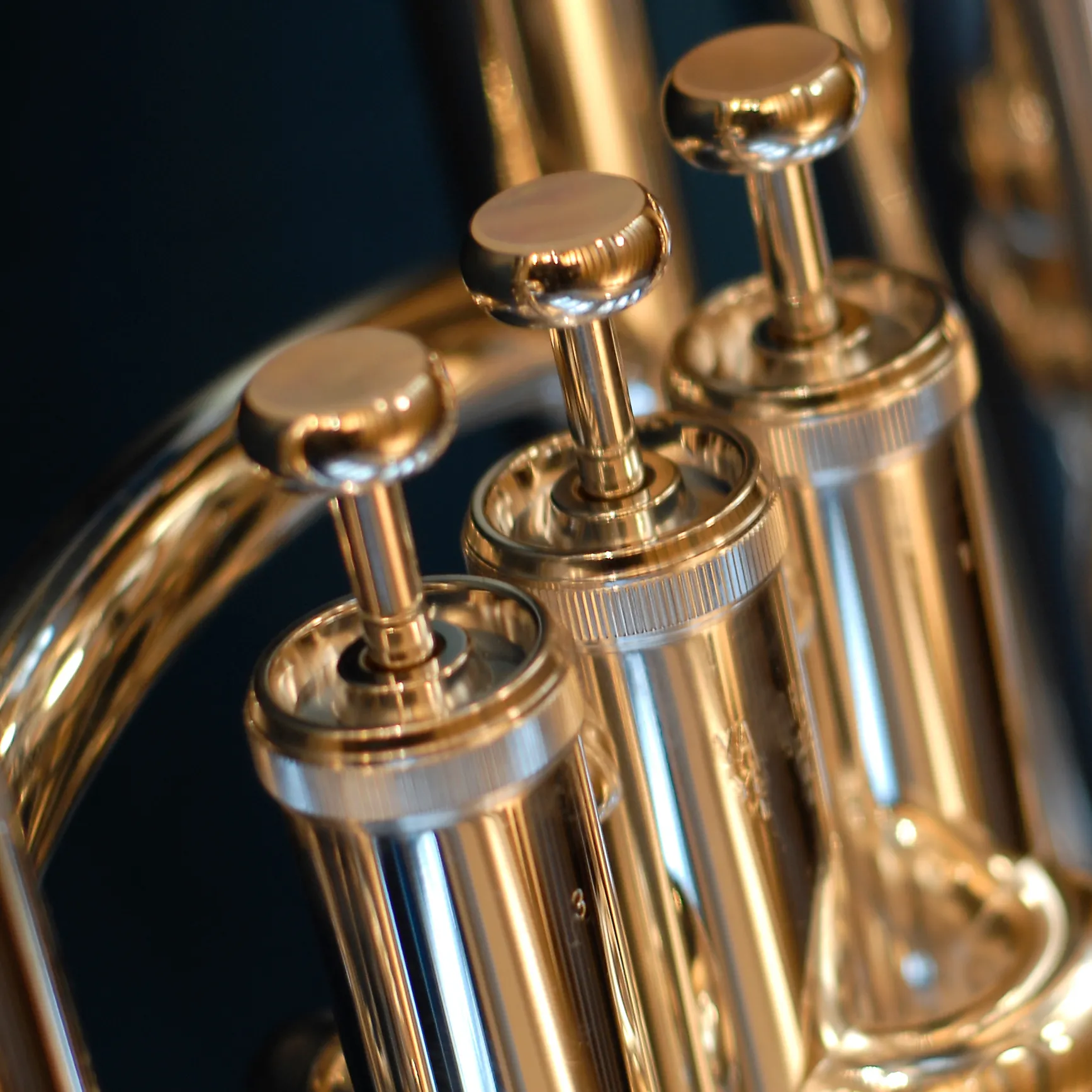 Bariton & Euphonium