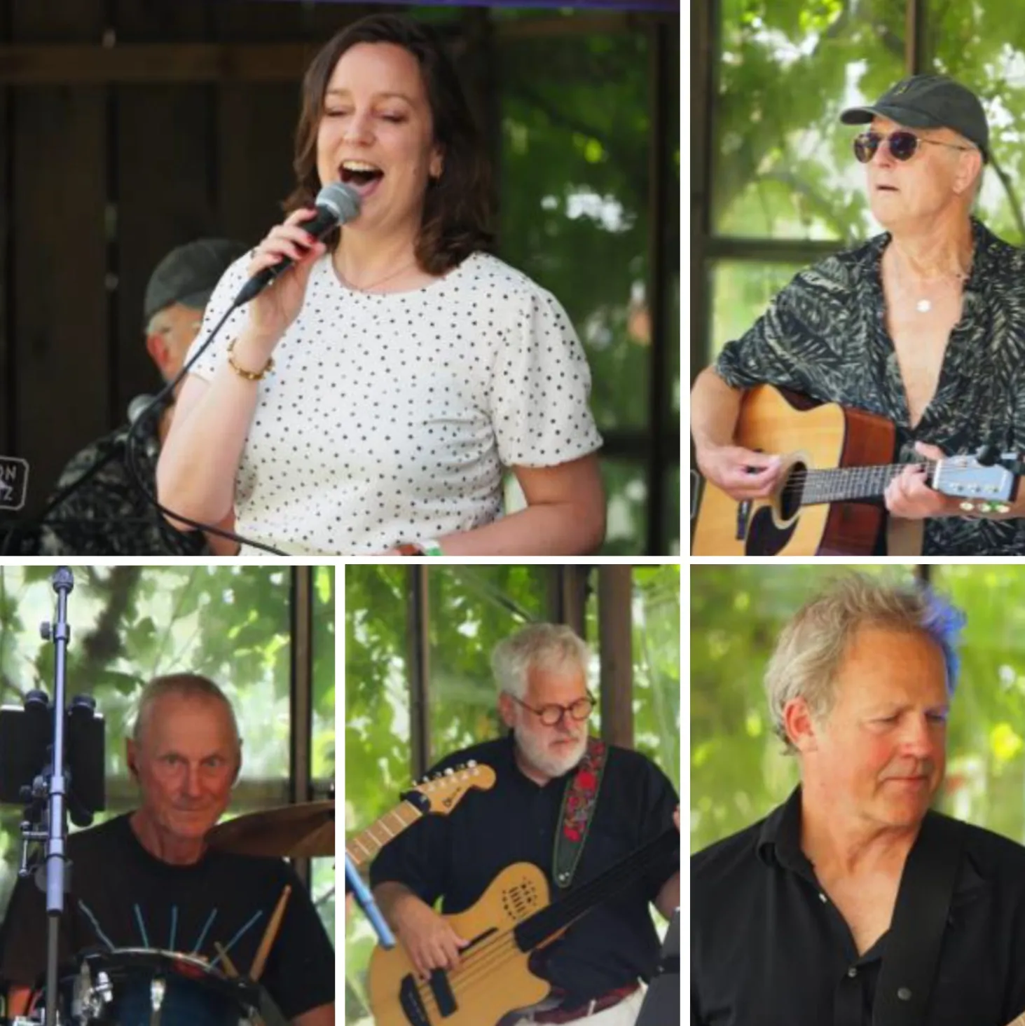 collage van bandleden Walk in the Park