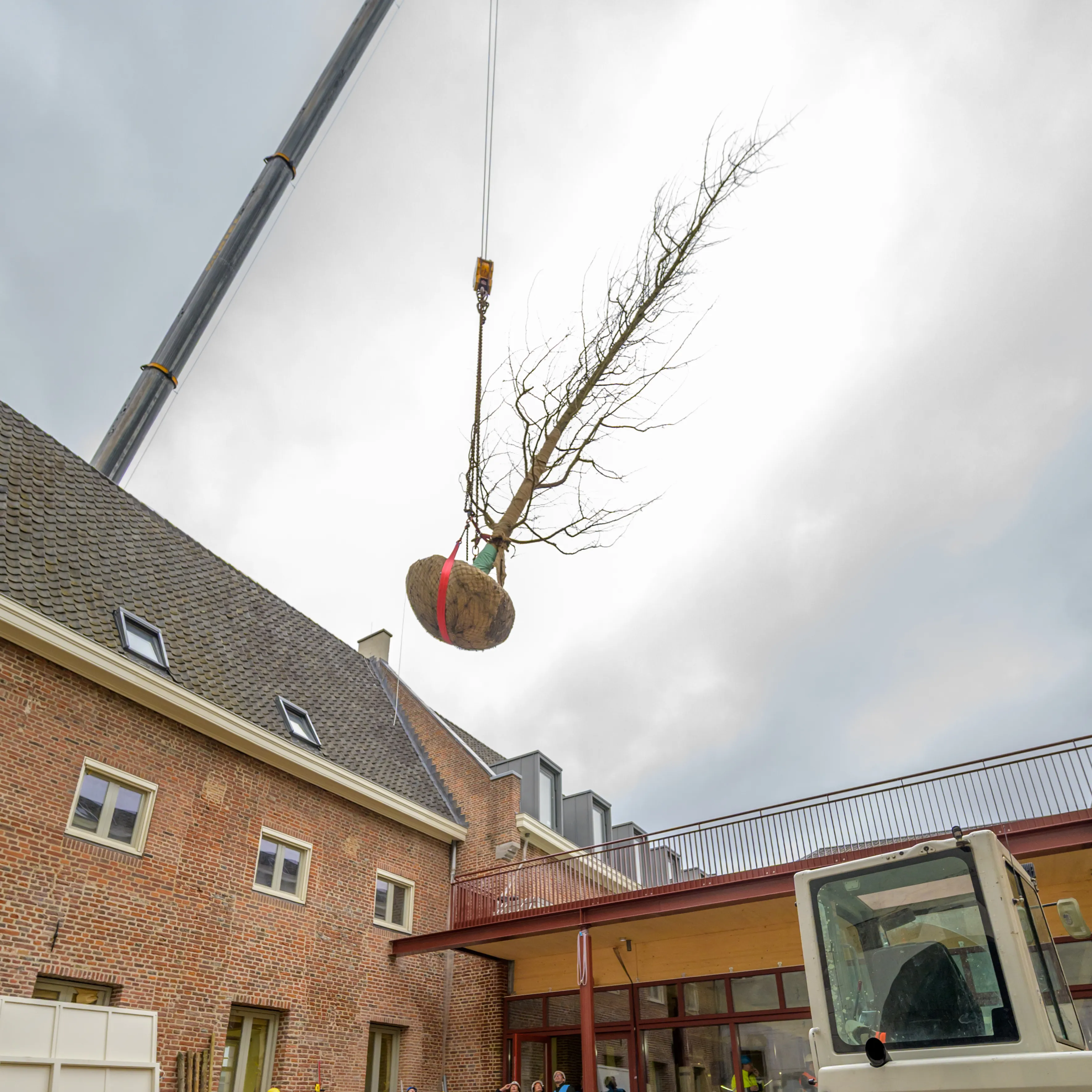 boom wordt met hijskraan over Huis getakeld