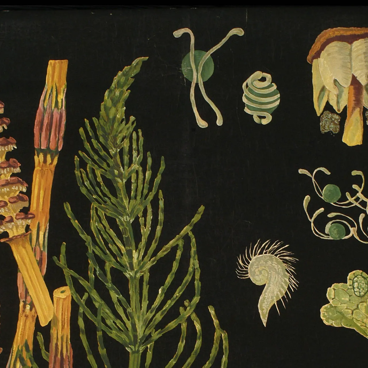 heermoes schoolplaat tekening