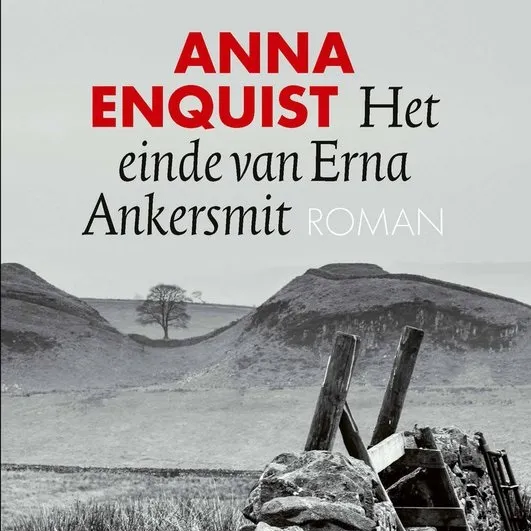 Het einde van Erna Ankersmit Anna Enquist.jpg