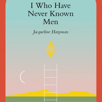 Cover van boek, een animatie van een ladder die de grond in verdwijnd. 