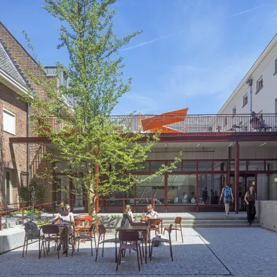 Binnenplein Huis73 met ginko Biloba op de achtergrond